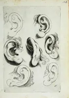 Picture 6 of 20 from Esemplare del'disegno in gratia Dei : principianti nell'arte della pitura et scultura posto in luce nouamente (1650), leaf 15