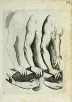 Picture 17 of 20 from Esemplare del'disegno in gratia Dei : principianti nell'arte della pitura et scultura posto in luce nouamente (1650), leaf 37