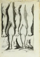 Picture 18 of 20 from Esemplare del'disegno in gratia Dei : principianti nell'arte della pitura et scultura posto in luce nouamente (1650), leaf 39