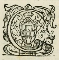 An illustration from Esequie della Maesta Cesarea dell'imperador Mattia : celebrate dal serenissimo Cosimo Secondo, gran dvca di Toscana (1619)
