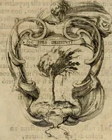 Picture 9 of 14 from Esequie del serenissimo principe Francesco : celebrate in Fiorenza dal serenissimo Ferdinando II, granduca di Toscana, suo fratello, nell'insigne collegiata di S. Lorenzo il dì 30 d'agosto 1634 (1634), leaf 32