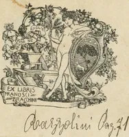 An illustration from Esequie di Filippo IV. cattolico re di Spagna : celebrate in Firenze dal serenissimo Ferdinando II. gran duca di Toscana (1665)