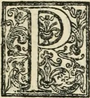 An illustration from Eseqvie d'Arrigo qvarto cristianissimo re di Francia, e di Navarra : celebrate in Firenze dal serenissimo don Cosimo II granduca di Toscana (1610)
