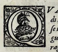 An illustration from Eseqvie d'Arrigo qvarto cristianissimo re di Francia, e di Navarra : celebrate in Firenze dal serenissimo don Cosimo II granduca di Toscana (1610)