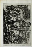 Picture 19 of 22 from Eseqvie fatte in Venetia dalla natione fiorentina al serenissimo d. Cosimo II qvarto gran dvca di Toscana il dì 25 di maggio j62j (1621), leaf 38