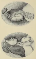 Picture 1 of 7 from Eskimo folk-tales (1921), leaf 8