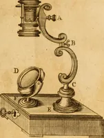 An illustration from Essays on the microscope : containing a practical description of the most improved microscopes : a general history of insects : illustrated with thirty-two folio plates (2nd ed. / with considerable additions and improvements by Frederick Kanmacher) (1798)