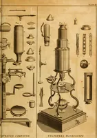 An illustration from Essays on the microscope : containing a practical description of the most improved microscopes : a general history of insects : illustrated with thirty-two folio plates (2nd ed. / with considerable additions and improvements by Frederick Kanmacher) (1798)