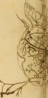 An illustration from Essays on the microscope : containing a practical description of the most improved microscopes : a general history of insects : illustrated with thirty-two folio plates (2nd ed. / with considerable additions and improvements by Frederick Kanmacher) (1798)