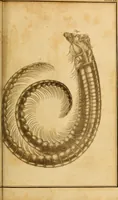 An illustration from Essays on the microscope : containing a practical description of the most improved microscopes : a general history of insects : illustrated with thirty-two folio plates (2nd ed. / with considerable additions and improvements by Frederick Kanmacher) (1798)