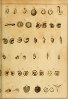 An illustration from Essays on the microscope : containing a practical description of the most improved microscopes : a general history of insects : illustrated with thirty-two folio plates (2nd ed. / with considerable additions and improvements by Frederick Kanmacher) (1798)