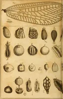 An illustration from Essays on the microscope : containing a practical description of the most improved microscopes : a general history of insects : illustrated with thirty-two folio plates (2nd ed. / with considerable additions and improvements by Frederick Kanmacher) (1798)