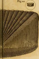 An illustration from Essays on the microscope : containing a practical description of the most improved microscopes : a general history of insects : illustrated with thirty-two folio plates (2nd ed. / with considerable additions and improvements by Frederick Kanmacher) (1798)
