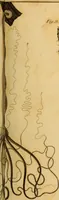 An illustration from Essays on the microscope : containing a practical description of the most improved microscopes : a general history of insects : illustrated with thirty-two folio plates (2nd ed. / with considerable additions and improvements by Frederick Kanmacher) (1798)