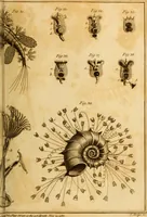 An illustration from Essays on the microscope : containing a practical description of the most improved microscopes : a general history of insects : illustrated with thirty-two folio plates (2nd ed. / with considerable additions and improvements by Frederick Kanmacher) (1798)