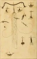 An illustration from Essays on the microscope : containing a practical description of the most improved microscopes : a general history of insects : illustrated with thirty-two folio plates (2nd ed. / with considerable additions and improvements by Frederick Kanmacher) (1798)