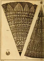 An illustration from Essays on the microscope : containing a practical description of the most improved microscopes : a general history of insects : illustrated with thirty-two folio plates (2nd ed. / with considerable additions and improvements by Frederick Kanmacher) (1798)