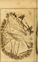 An illustration from Essays on the microscope : containing a practical description of the most improved microscopes : a general history of insects : illustrated with thirty-two folio plates (2nd ed. / with considerable additions and improvements by Frederick Kanmacher) (1798)