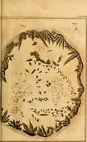 An illustration from Essays on the microscope : containing a practical description of the most improved microscopes : a general history of insects : illustrated with thirty-two folio plates (2nd ed. / with considerable additions and improvements by Frederick Kanmacher) (1798)