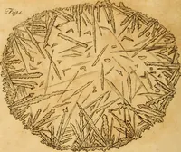 An illustration from Essays on the microscope : containing a practical description of the most improved microscopes : a general history of insects : illustrated with thirty-two folio plates (2nd ed. / with considerable additions and improvements by Frederick Kanmacher) (1798)