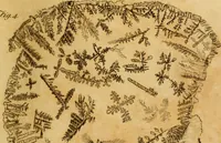 Picture 84 of 85 from Essays on the microscope : containing a practical description of the most improved microscopes : a general history of insects : illustrated with thirty-two folio plates (2nd ed. / with considerable additions and improvements by Frederick Kanmacher) (1798), leaf 880