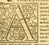 An illustration from Espeio divino en lengua mexicana, : en que pueden verse los padres, y tomar documento para acertar a doctrinar bien a sus hijos, y aficionallos alas virtudes. (1607)