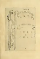 Picture 8 of 10 from Esperienze intorno a diverse cose natvrali : e particolarmente a qvelle, che ci son portate dall'Indie (1671), leaf 153