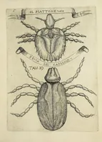Picture 19 of 22 from Esperienze intorno alla generazione degl' insetti (1668), leaf 257