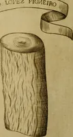 An illustration from Esperienzie intorno a diverse cose naturali, e particolarmente a quelle, che ci son portate dall'Indie (1671)