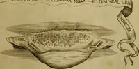 An illustration from Esperienzie intorno a diverse cose naturali, e particolarmente a quelle, che ci son portate dall'Indie (1671)