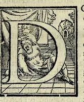 Picture 5 of 35 from Espositione dell'XI. et XII. cap. del IIII. lib. d'Esdra : sopra gli accidenti passati, presenti, & futuri della reuolutione del grande & tremendo imperio dell'aquila, quarta, & ultima monarchia nel mondo (1571), leaf 13