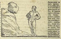Picture 35 of 35 from Espositione dell'XI. et XII. cap. del IIII. lib. d'Esdra : sopra gli accidenti passati, presenti, & futuri della reuolutione del grande & tremendo imperio dell'aquila, quarta, & ultima monarchia nel mondo (1571), leaf 188