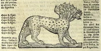 Picture 9 of 35 from Espositione dell'XI. et XII. cap. del IIII. lib. d'Esdra : sopra gli accidenti passati, presenti, & futuri della reuolutione del grande & tremendo imperio dell'aquila, quarta, & ultima monarchia nel mondo (1571), leaf 40