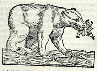 Picture 14 of 35 from Espositione dell'XI. et XII. cap. del IIII. lib. d'Esdra : sopra gli accidenti passati, presenti, & futuri della reuolutione del grande & tremendo imperio dell'aquila, quarta, & ultima monarchia nel mondo (1571), leaf 53