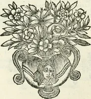 An illustration from Esposizione dell' apparato fatto nella solennita della canonizatione di Pietro d'Alcantara de Minori osservanti riformati di S. Francesco : e celebrato nella chiesa di S. Maria de gl' Angioli da R.R. P.P. del medesimo ordine nell' augusta citta di Torino (1669)