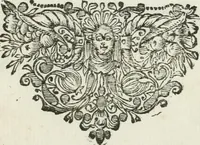 An illustration from Esposizione dell' apparato fatto nella solennita della canonizatione di Pietro d'Alcantara de Minori osservanti riformati di S. Francesco : e celebrato nella chiesa di S. Maria de gl' Angioli da R.R. P.P. del medesimo ordine nell' augusta citta di Torino (1669)