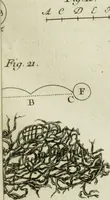 Picture 8 of 38 from Essai de physique, par Mr. Pierre van Musschenbroek ... avec une description de nouvelles sortes de machines pneumatiques, et un recueil d'expériences par Mr. J. v[an] M[usschenbroek] Traduit du hollandois par Mr. Pierre Massuet .. (1751), leaf 130