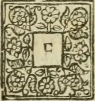 An illustration from The essaies of Sr. Francis Bacon ... His religious meditations. Places of perswasion and disswasion. Seene and allowed (1613)
