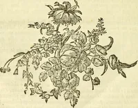 An illustration from Essai météorologique sur la véritable influence des astres, des saisons et changemens de tems : fondé sur de longues observations, & appliqué aux usages de l'agriculture, de la médécine, de la navigation, & c. (1784)