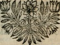 An illustration from Essais de morale, contenus en divers traités sur plusieurs devoirs importans (1679)