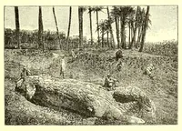 Picture 11 of 18 from Essais sur l'art égyptien (1912), leaf 213