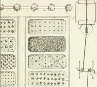 Picture 120 of 122 from Essai sur la composition et l'ornement des jardins : ou, Recueil de plans de jardins de ville et de campagne, de fabriques propres à leur décoration, et de machines pour élever les eaux ; ouvrage faisant suite à l'Almanach du bon jardinier (1823), leaf 239
