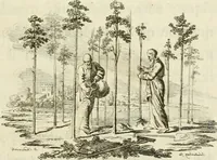 Picture 25 of 106 from Essai sur la physiognomonie : destiné a faire connoître l'homme & à le faire aimer (1781), leaf 146