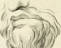 Picture 37 of 106 from Essai sur la physiognomonie : destiné a faire connoître l'homme & à le faire aimer (1781), leaf 183