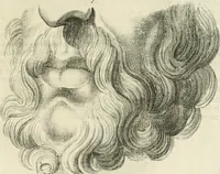 Picture 54 of 106 from Essai sur la physiognomonie : destiné a faire connoître l'homme & à le faire aimer (1781), leaf 218