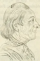Picture 55 of 106 from Essai sur la physiognomonie : destiné a faire connoître l'homme & à le faire aimer (1781), leaf 219