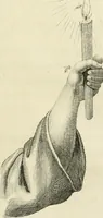 An illustration from Essai sur la physiognomonie : destiné a faire connoître l'homme & à le faire aimer (1781)