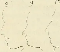 Picture 80 of 106 from Essai sur la physiognomonie : destiné a faire connoître l'homme & à le faire aimer (1781), leaf 277