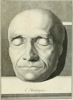 An illustration from Essai sur la physiognomonie : destiné a faire connoître l'homme & à le faire aimer (1781)