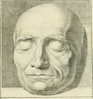 Picture 105 of 106 from Essai sur la physiognomonie : destiné a faire connoître l'homme & à le faire aimer (1781), leaf 314